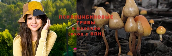сатива Беломорск
