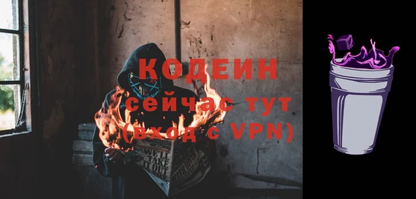 сатива Беломорск