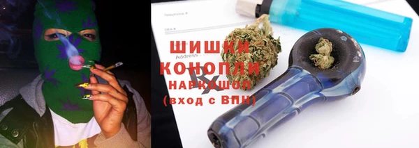 гашик Белокуриха