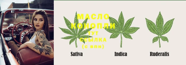 мяу мяу мука Аркадак