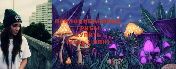 экстази Богданович