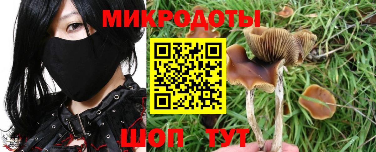 Псилоцибиновые грибы ЛСД Верхняя Пышма