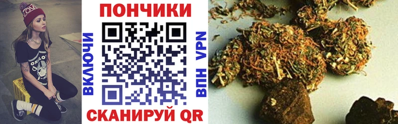 цена наркотик  Верхняя Пышма  Конопля семена 